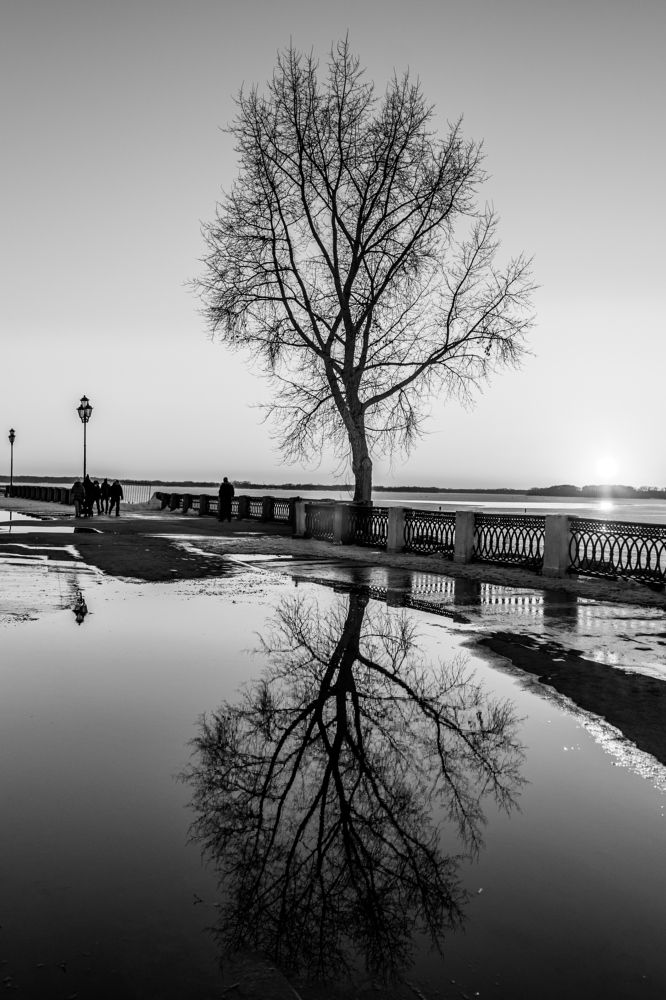 Photograph by Андрей Пшеничников