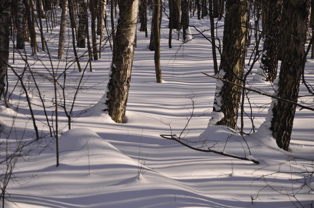 Photograph by Ольга Струкалина