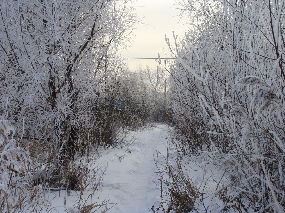 Photograph by olga Diakova