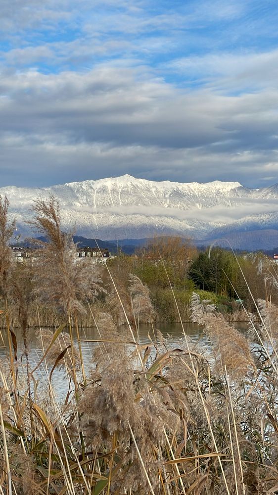 Зимний Сочи