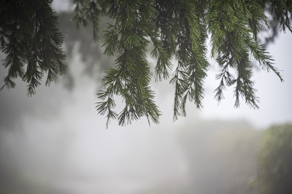 Photograph by Будаква Сергей