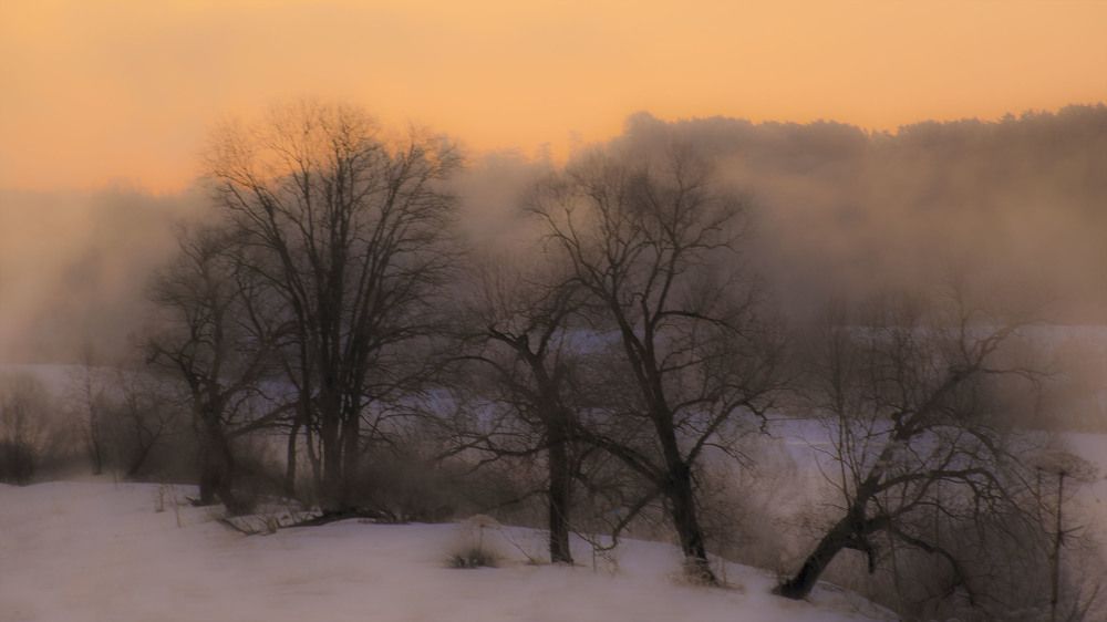 Photograph by Людмила Железнова