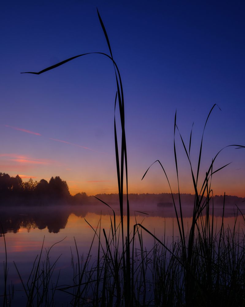 Photograph by Михаил Бронников