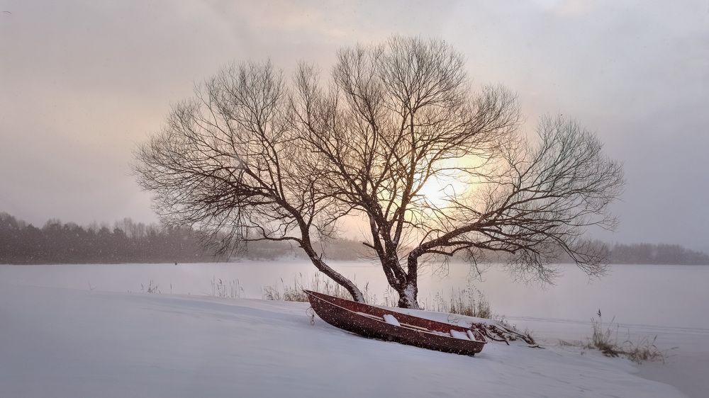 Photograph by Людмила Железнова