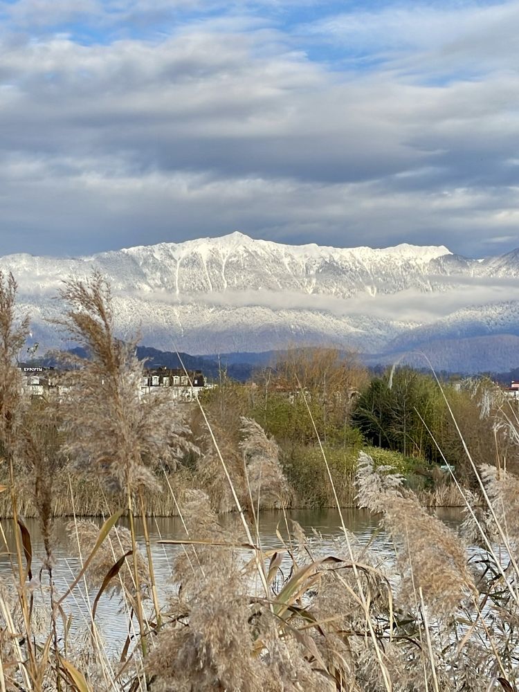 Photograph by Елена Горбунова