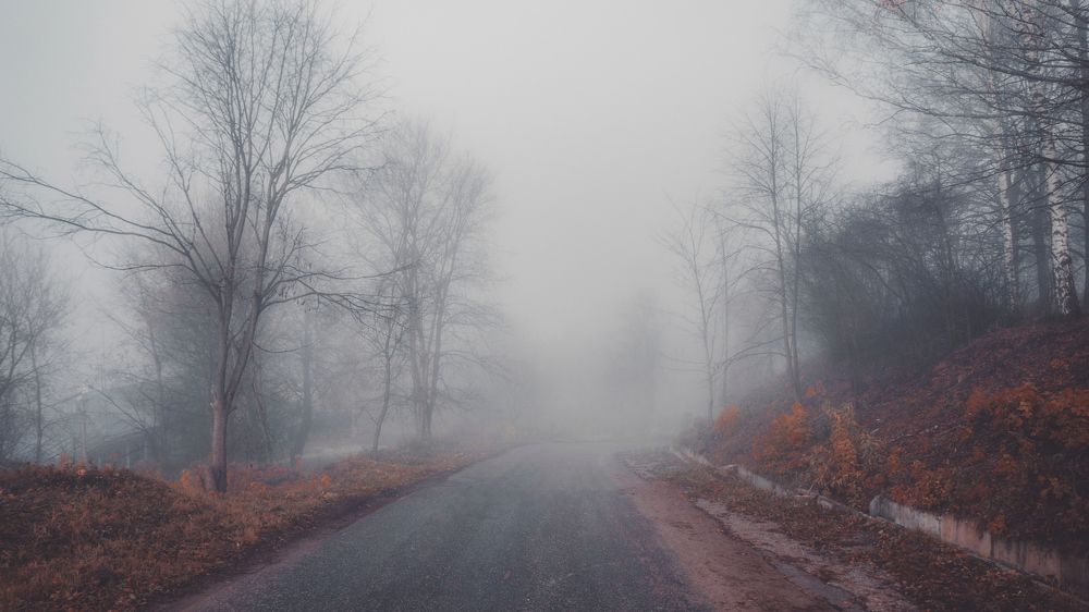 Photograph by Denis Romanov