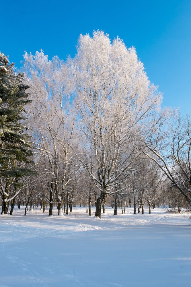 Photograph by Александр Есликов