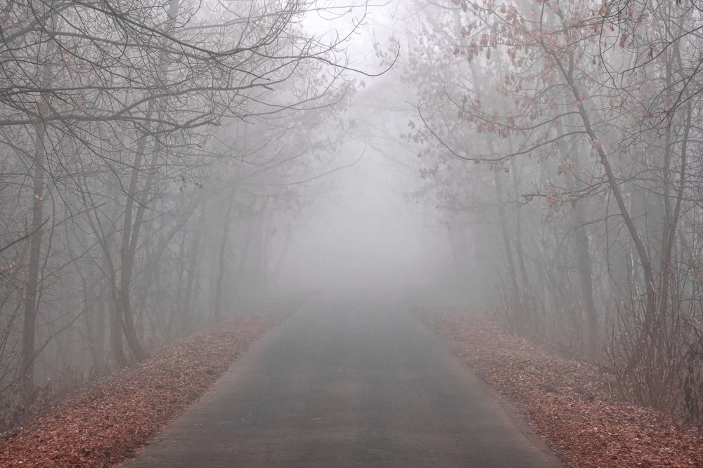 Photograph by Максим Трифонов