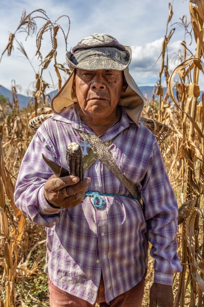 Photograph by Wendolyn Rodríguez