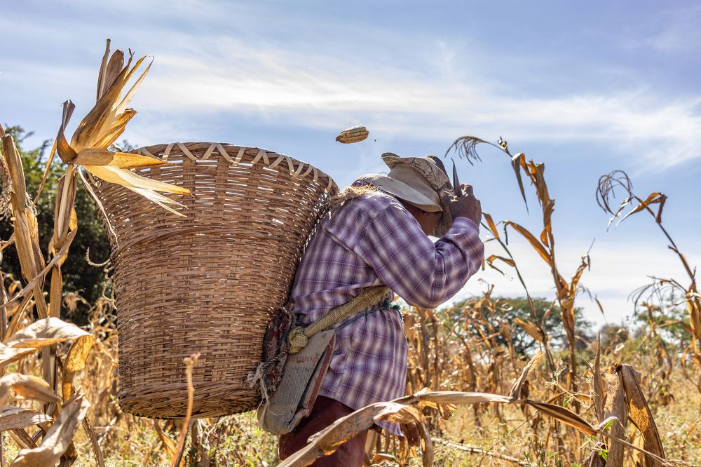 Photograph by Wendolyn Rodríguez