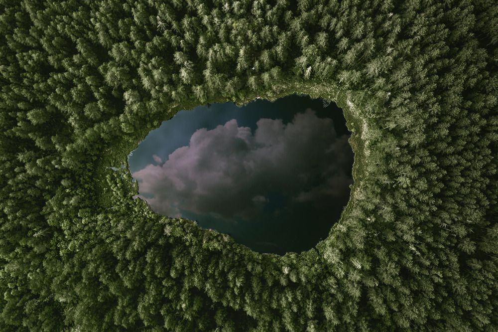 Photograph by Дмитрий