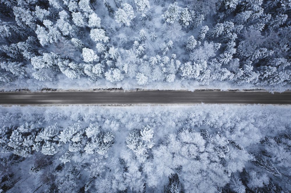 Фотография автора Дмитрий