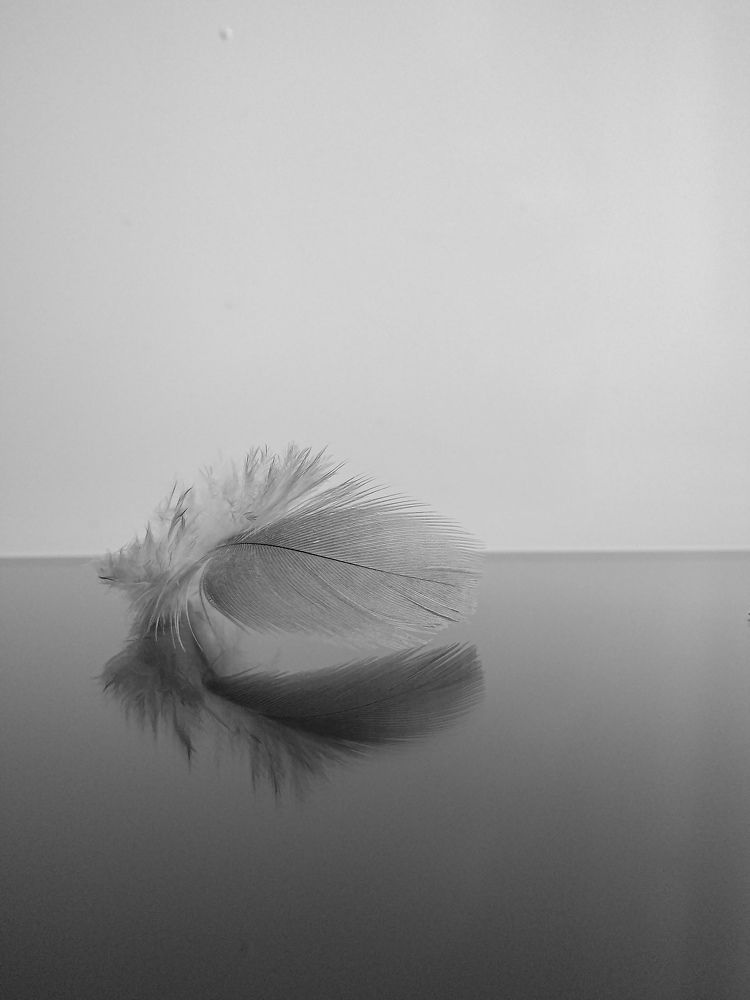 Photograph by Оксана