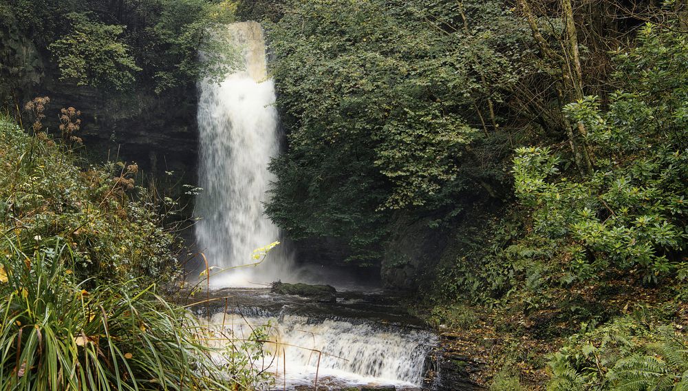 Photograph by Alexander