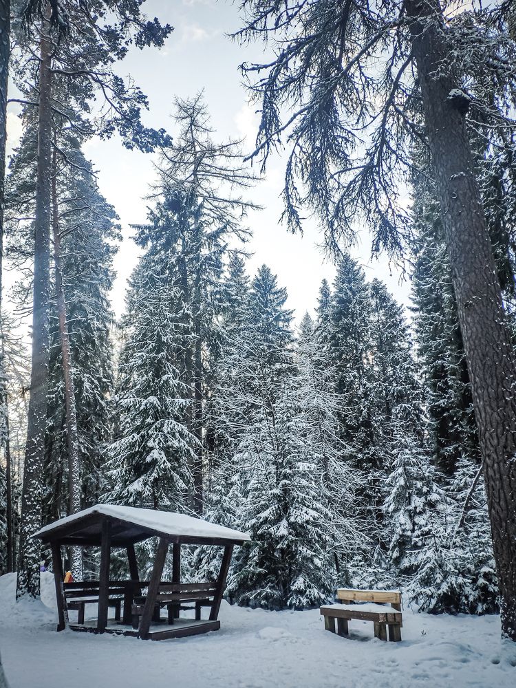 Линдуловская роща