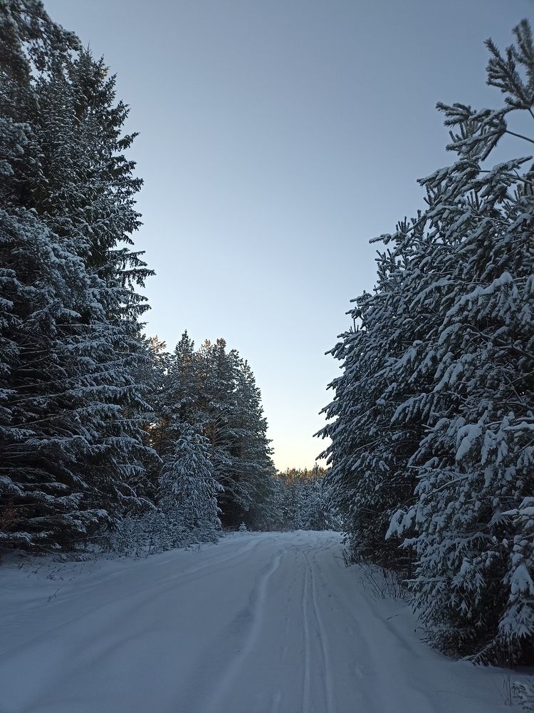Photograph by Полина Денисова