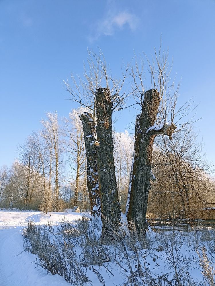 Photograph by Полина Денисова