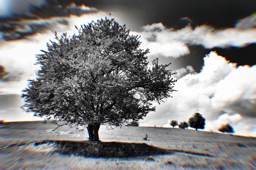 Photograph by Sarageaua Cristina