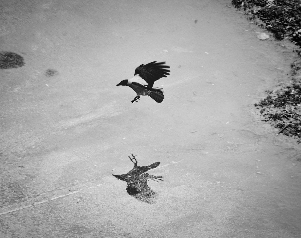 Photograph by Stoyan Baev