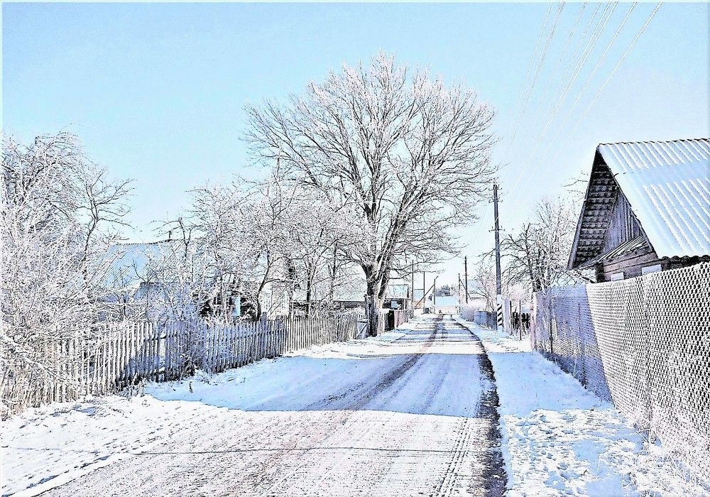 Photograph by TERESA Yurkevich