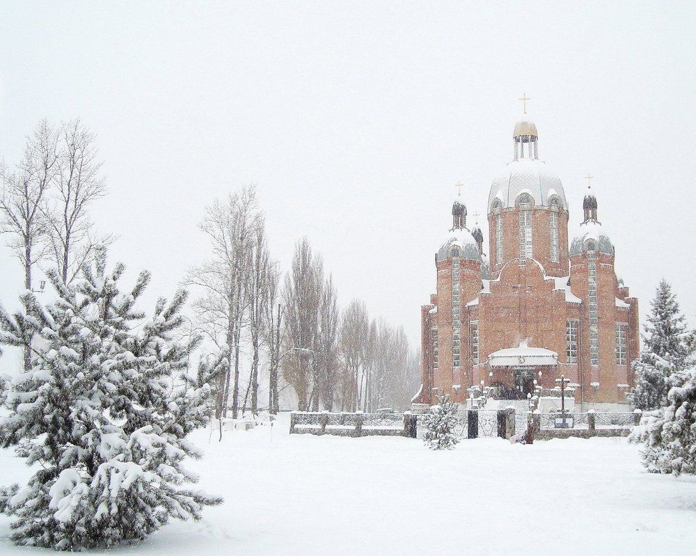 Photograph by TERESA Yurkevich