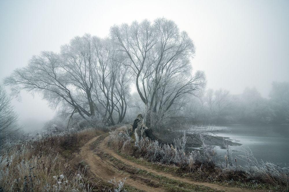 Дорога в Тридевятое царство