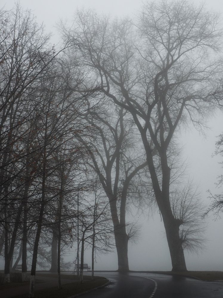 Photograph by Ольга Еженевская