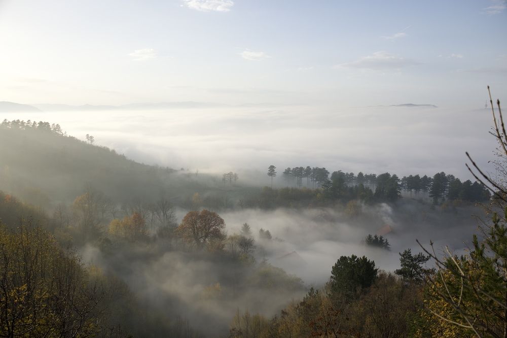 Photograph by Enhad Goralija