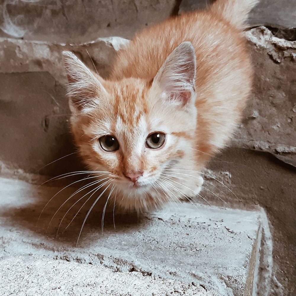 Photograph by Галина Рудас