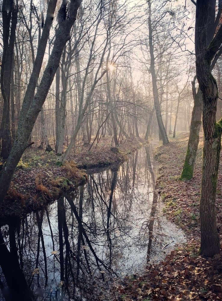 Photograph by Логинова Наталия