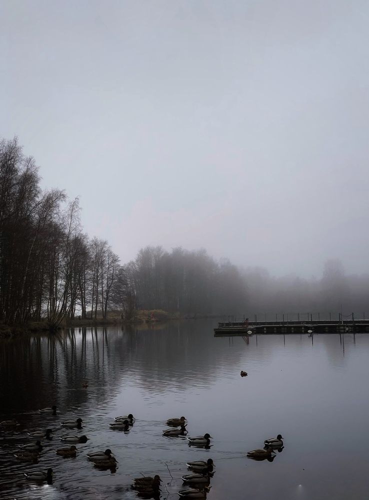 Photograph by Логинова Наталия
