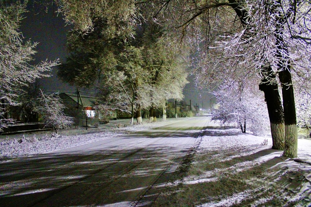 Photograph by Анна Восковых