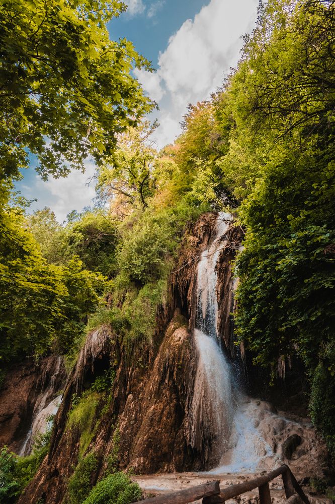 Photograph by Cristina Oniga