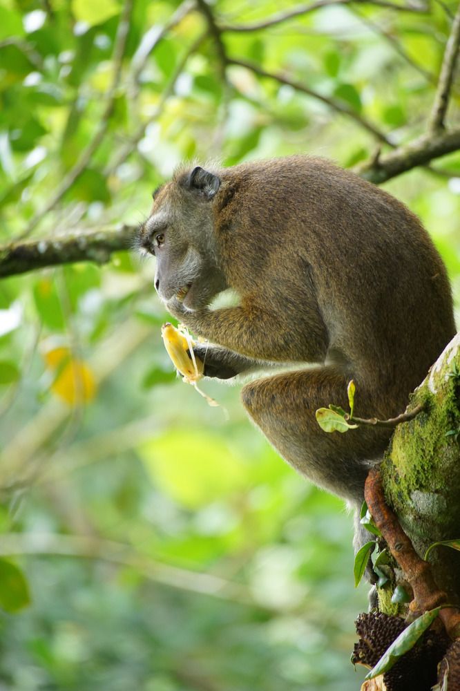 Photograph by Dwight Ralph Arsolon