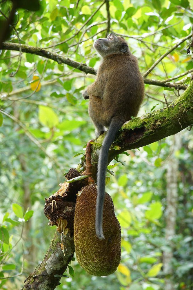 Photograph by Dwight Ralph Arsolon