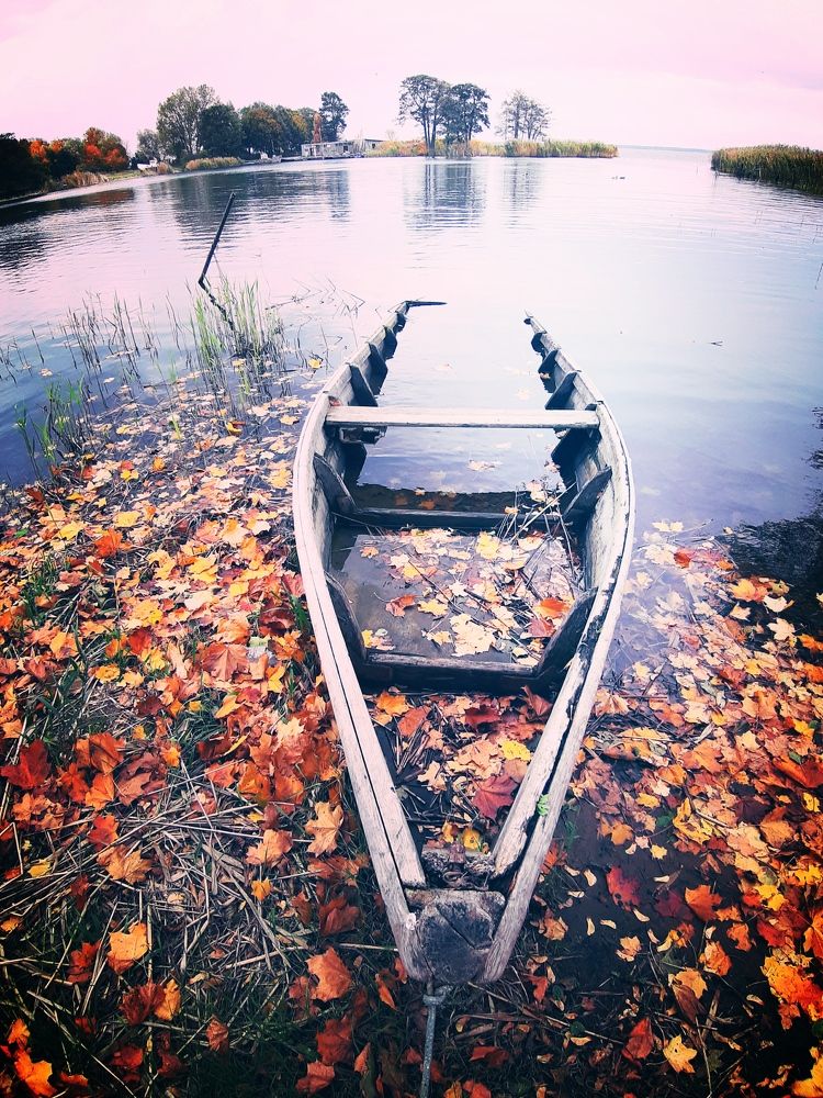 Фотография автора Aneda Antanaviciute