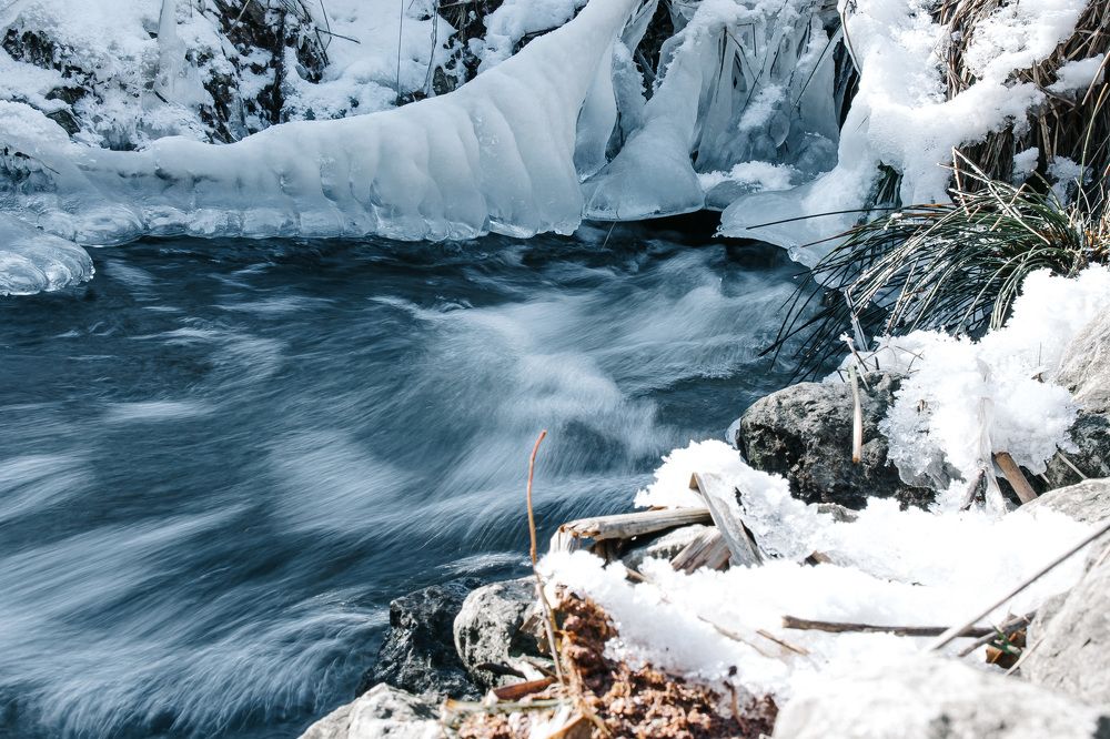 Photograph by Natalja Schleiger