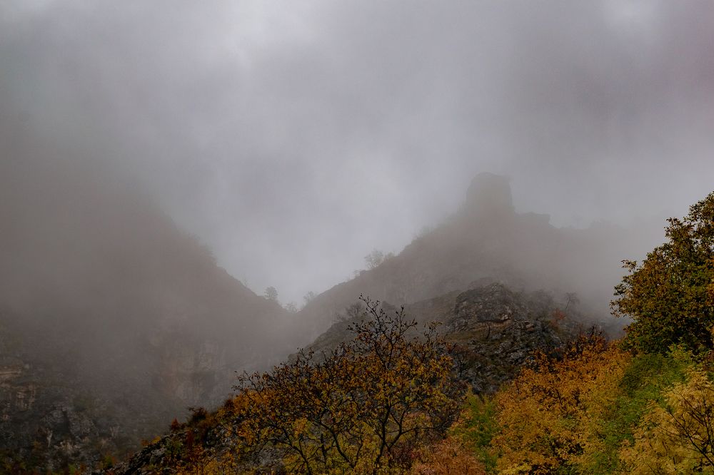 Photograph by Jasmin Džebo