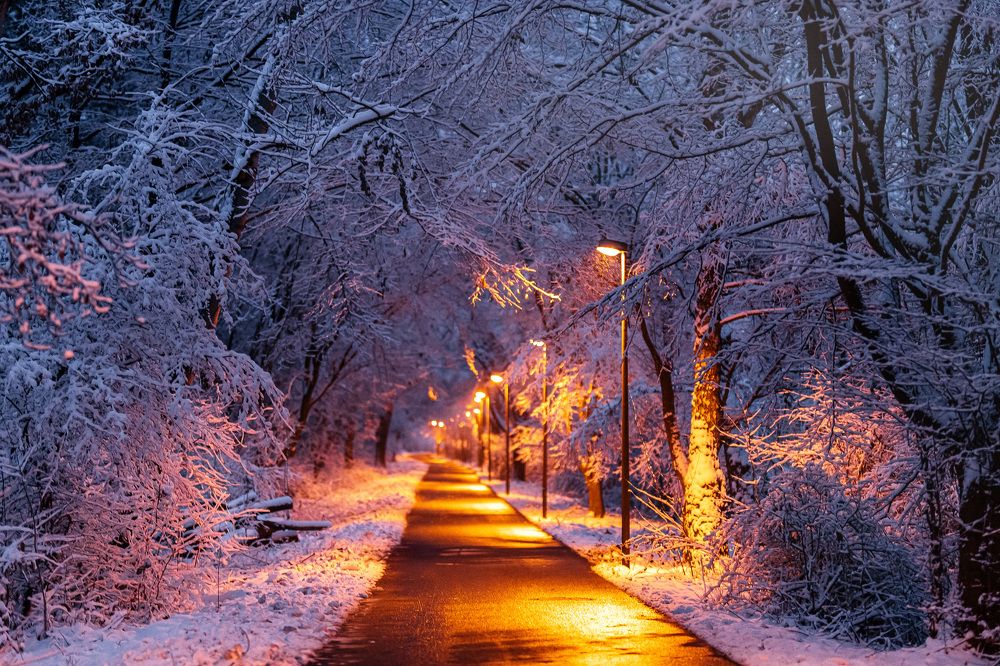 Photograph by Natalja Schleiger