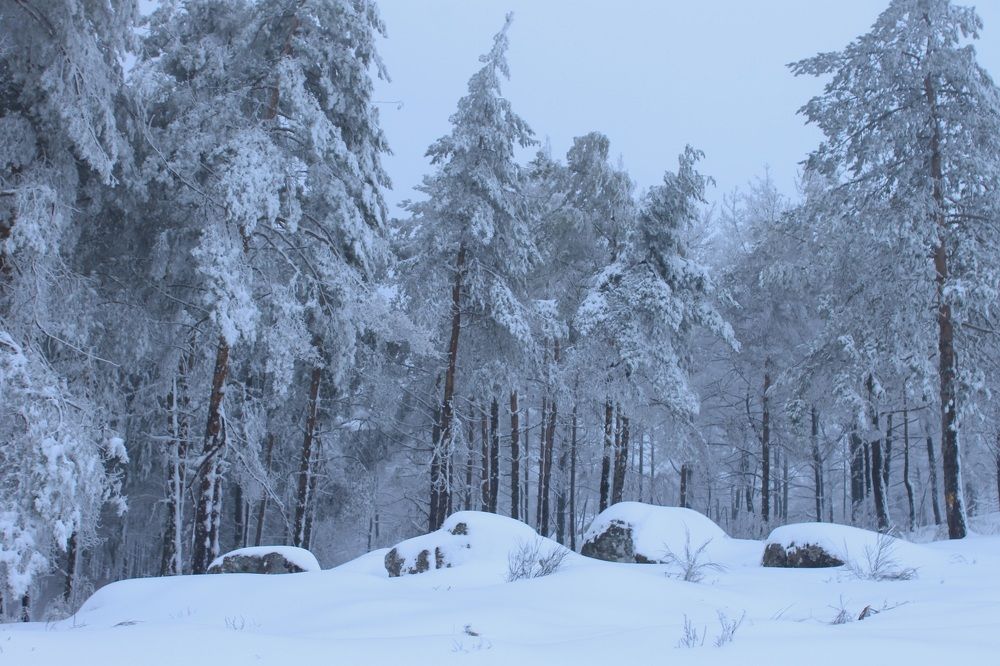 Photograph by Francisco Ferreira