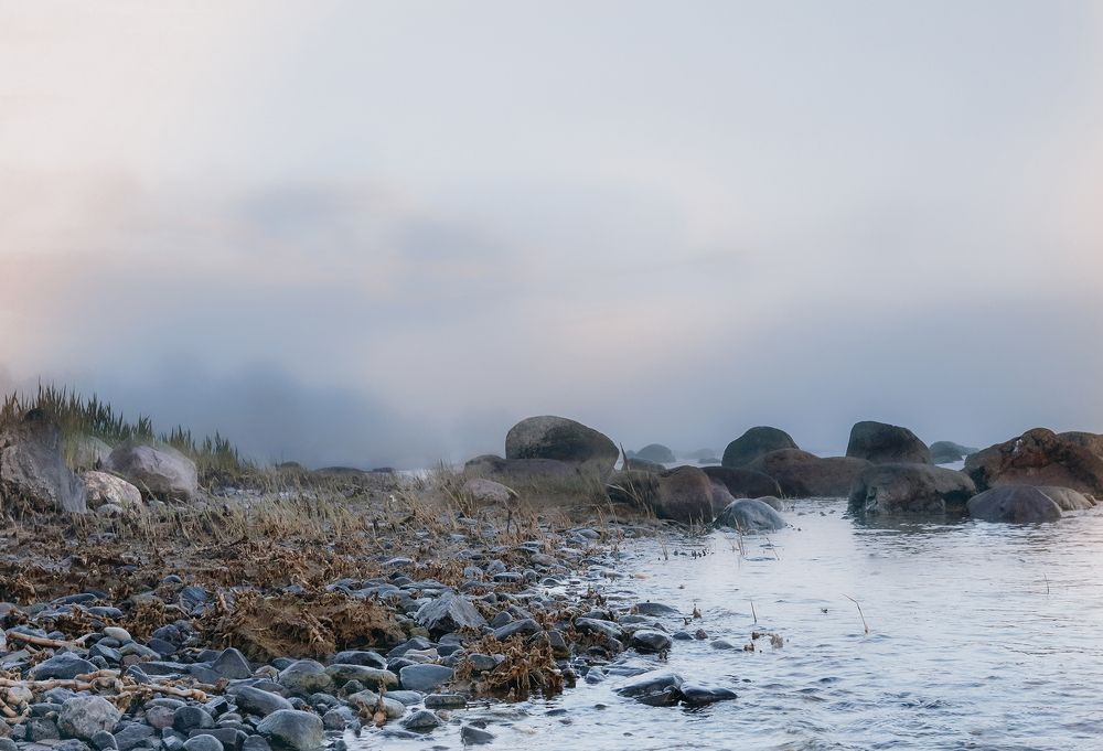 Туманный вечер.