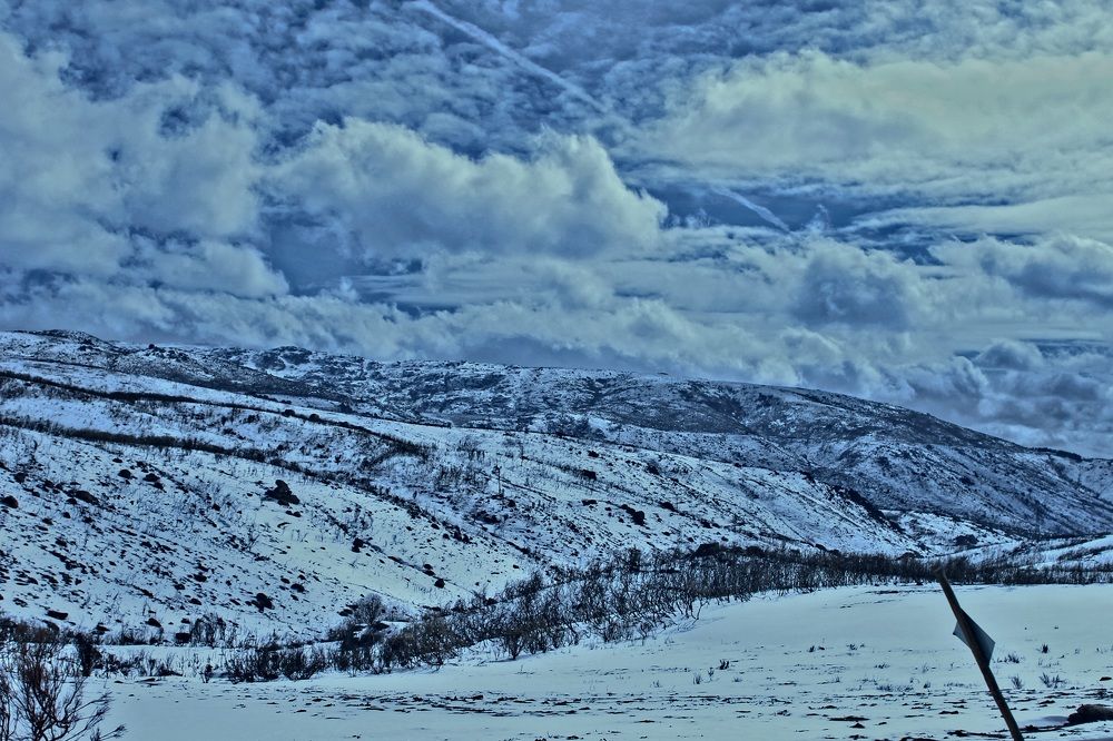 Photograph by Francisco Ferreira