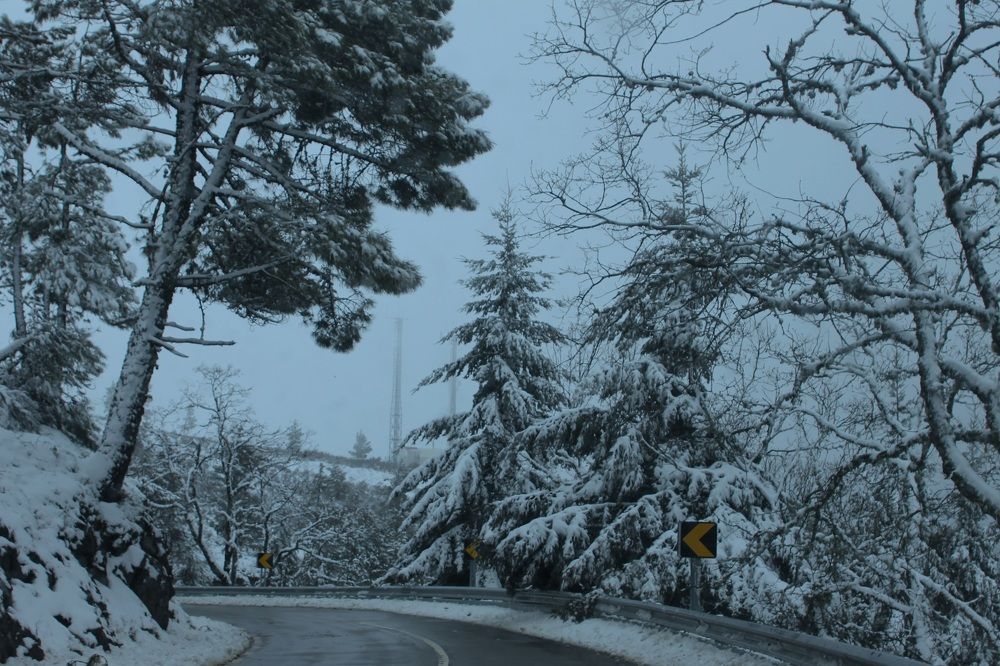 Photograph by Francisco Ferreira