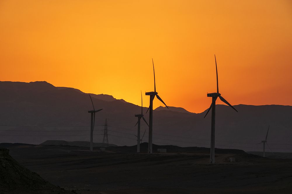 Фотография автора Sherine El Mously