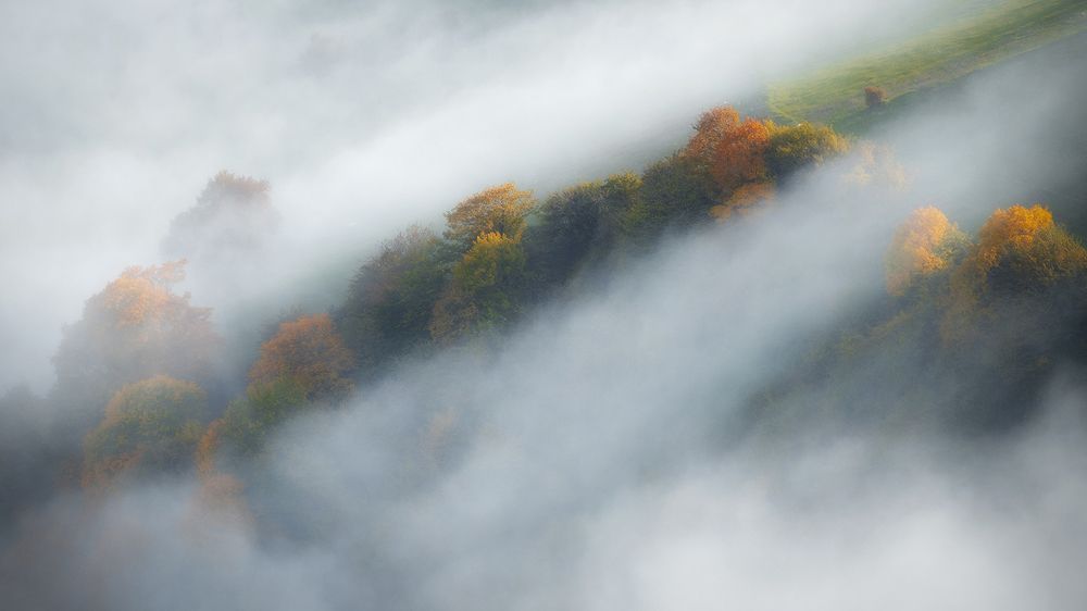 Photograph by Amir Ramezani