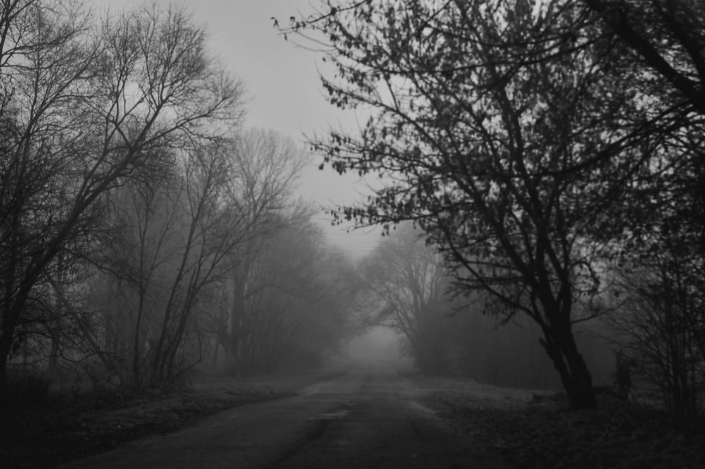 Photograph by Валерий Зенович