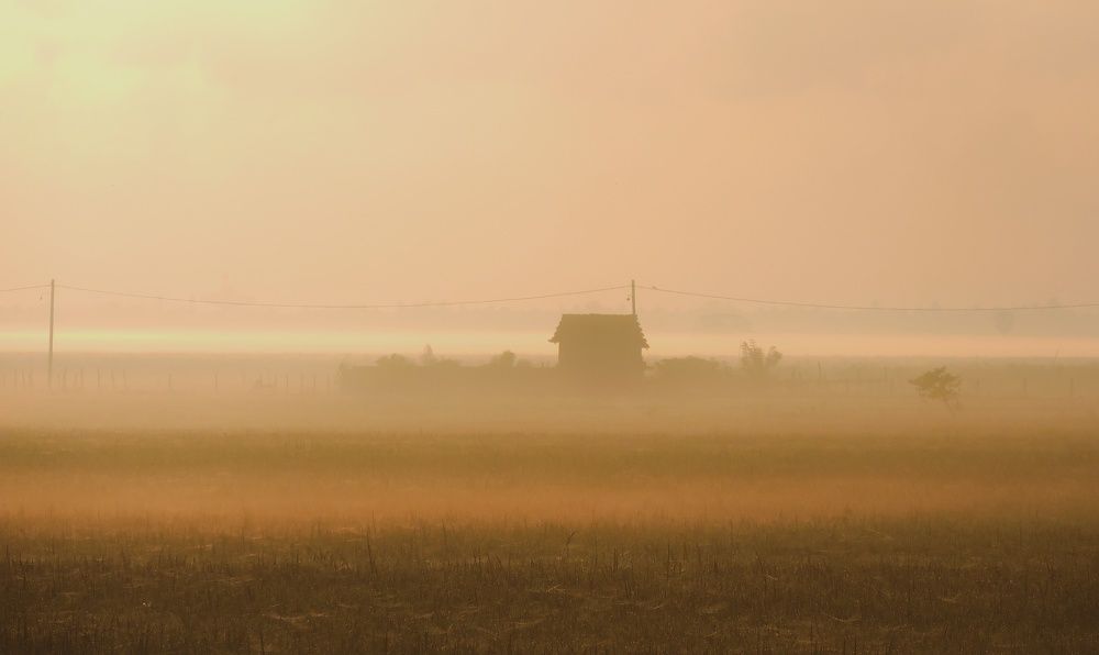 Photograph by Nusky Ahamed Rafeek