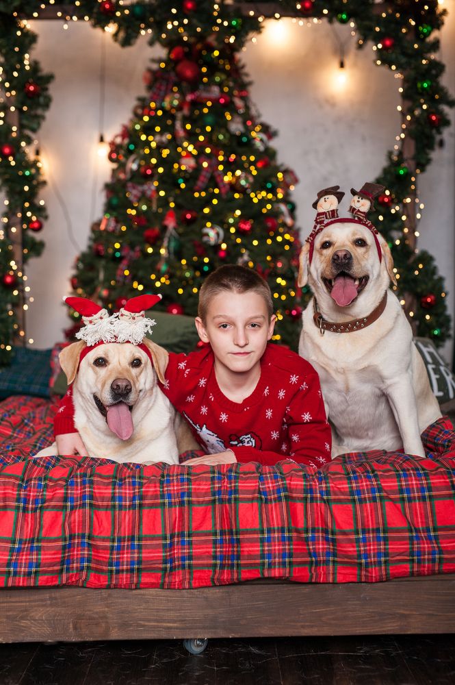 Photograph by Кристина