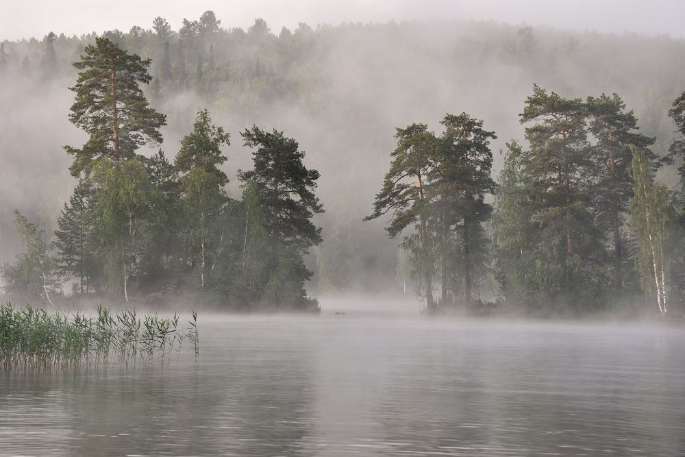 Photograph by Максим Ватрушкин