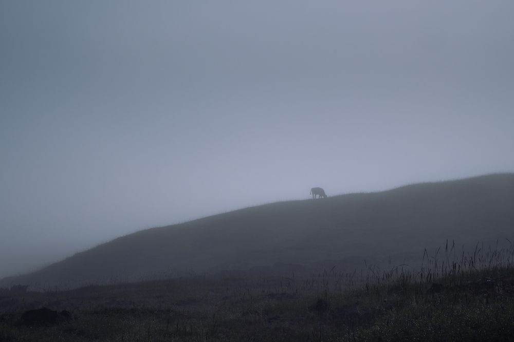 Photograph by Александр Марфин